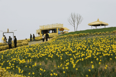 �ž� ���� ���� ����ȭ ������ ������ ��Ȳ�� ����